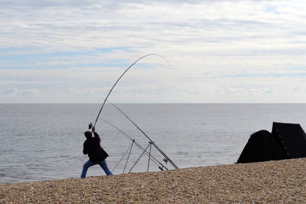 ¿Qué peces capturar cuando se practica el surfcasting?