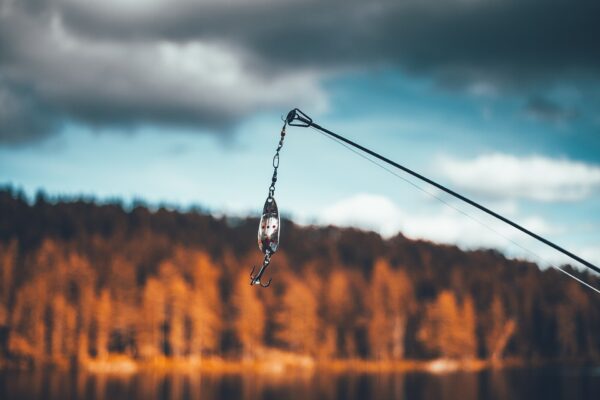 Welche Köder sollte man in eine Fischreuse legen?