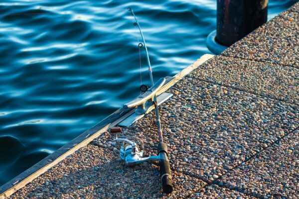 Which fishing reel for bluefin tuna?