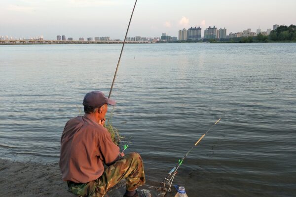 Quale canna da pesca dovresti scegliere per iniziare?