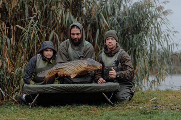 Qual è il momento migliore per la pesca alla carpa?